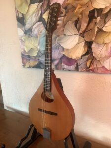 Weber Y2K Mandolin