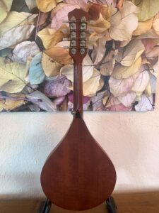 Weber Y2K Mandolin