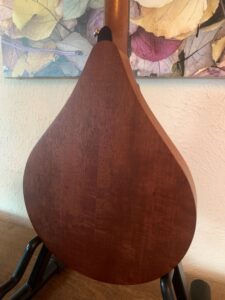 Weber Y2K Mandolin