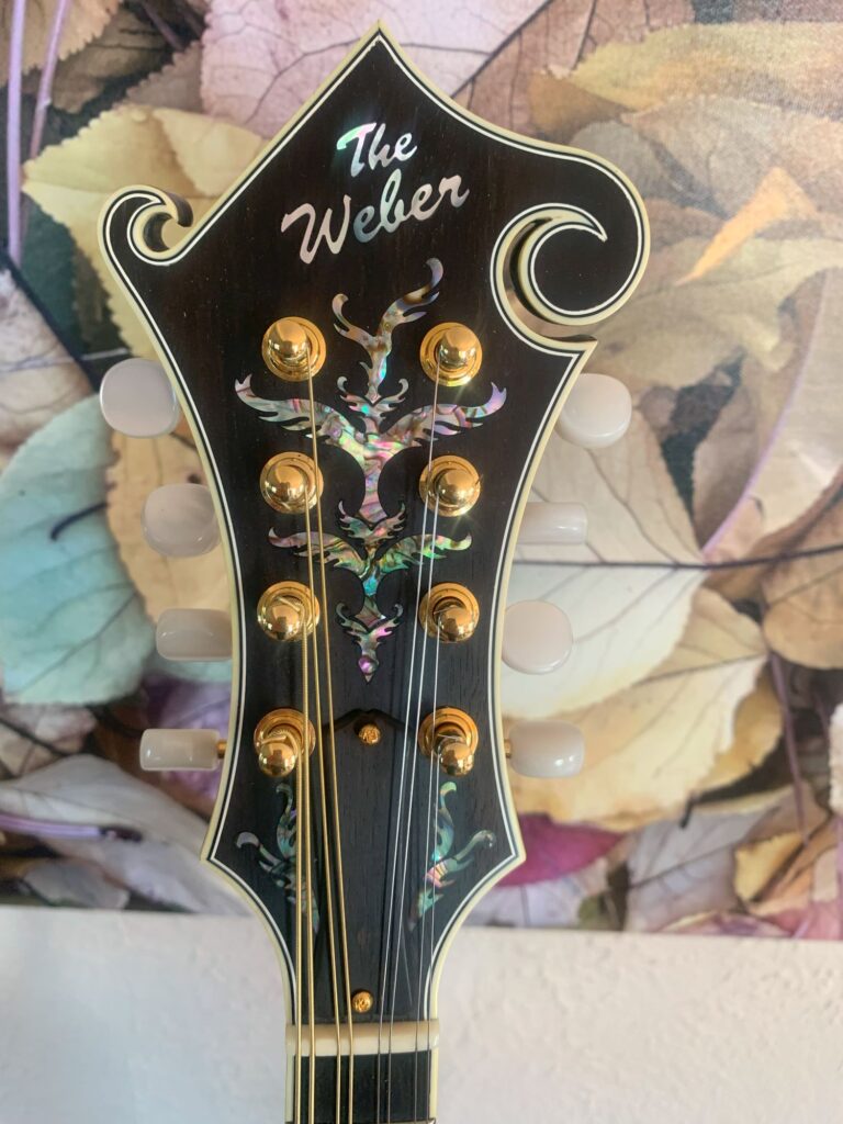 Weber Fern Mandolin