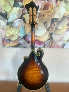 Weber Fern Mandolin