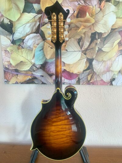 Weber Fern Mandolin