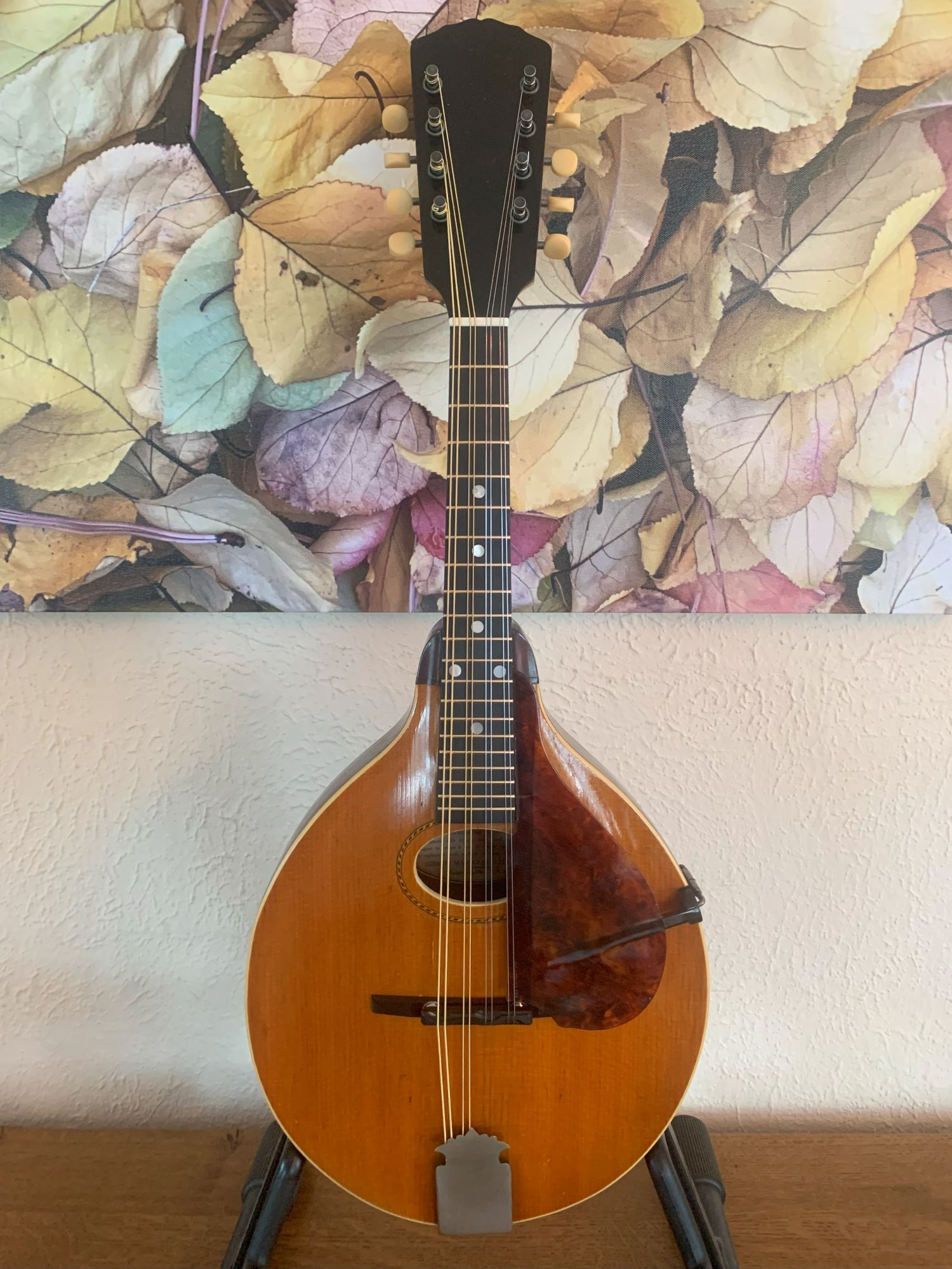 Vintage shop gibson mandolin