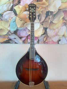 Weber Absaroka Mandolin