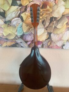 Vintage Gibson A Mandolin