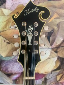 Kentucky KM-1000 Mandolin