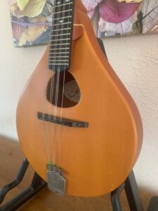 Weber Hyalite Mandolin