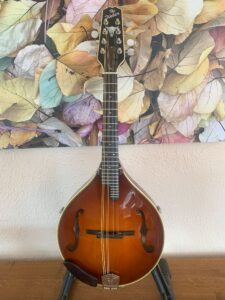 Weber Rawhide A Mandolin