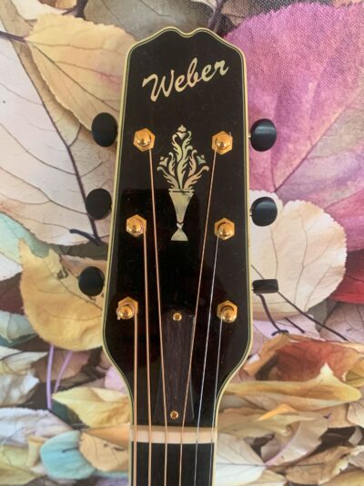 Weber Big Sky Arch Top Guitar