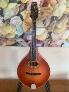 Pomeroy Mandola