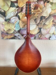Pomeroy Mandola