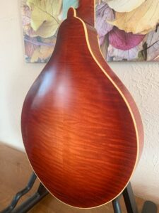 Pomeroy Mandola