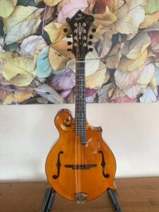 Weber Honey Tortoise Yellowstone F Mandolin