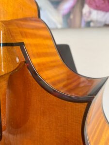 Weber Honey Tortoise Yellowstone F Mandolin