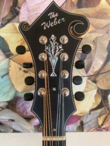 Weber Honey Tortoise Yellowstone F Mandolin
