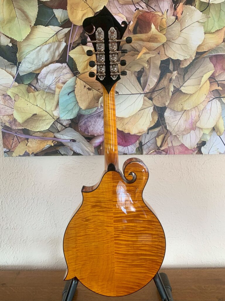 Weber Honey Tortoise Yellowstone F Mandolin