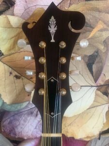 Customized Alvarez Mandolin