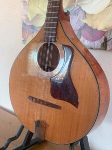 Petersen Bouzouki