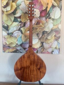 Petersen Bouzouki