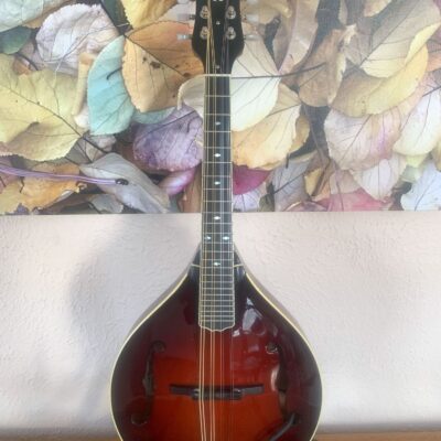 Weber Absaroka Mandolin