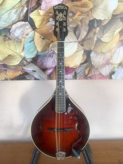 Weber Absaroka Mandolin