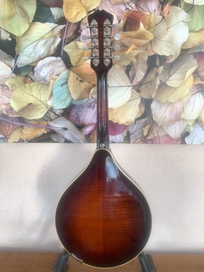 Weber Absaroka Mandolin