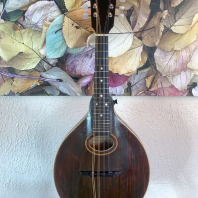Vintage Gibson A Mandolin
