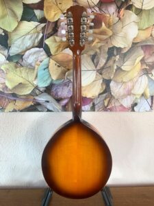 Flatiron 1SB Mandola