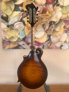 Northfield Big Mon Mandolin