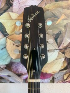 Gibson A9 Mandolin