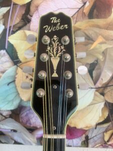 Weber Beartooth Mandolin