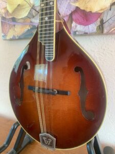 Weber Beartooth Mandolin