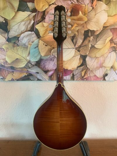 Weber Beartooth Mandolin