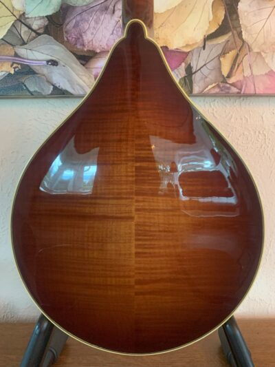 Weber Beartooth Mandolin
