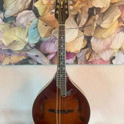Weber Beartooth Mandolin