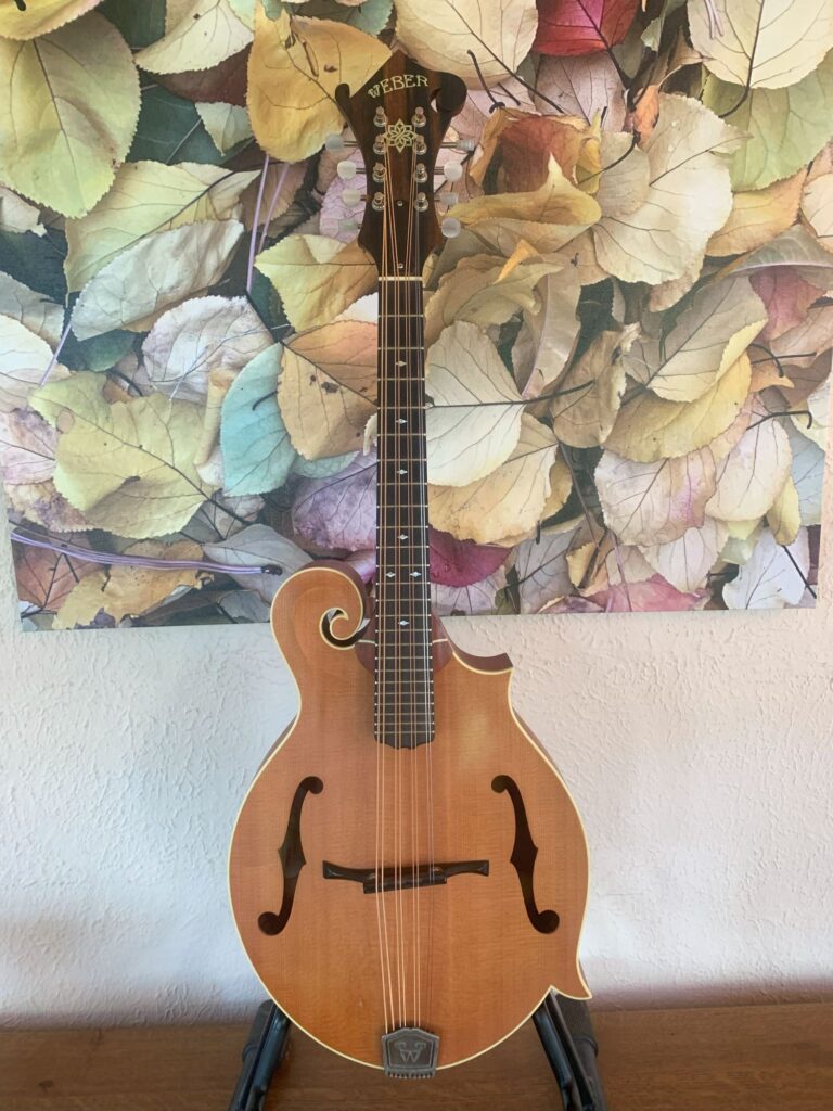 Weber Bitterroot F-Style Mandola