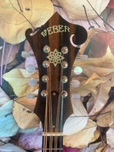 Weber Bitterroot F-Style Mandola