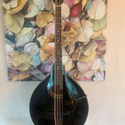Gibson K1 Mandocello