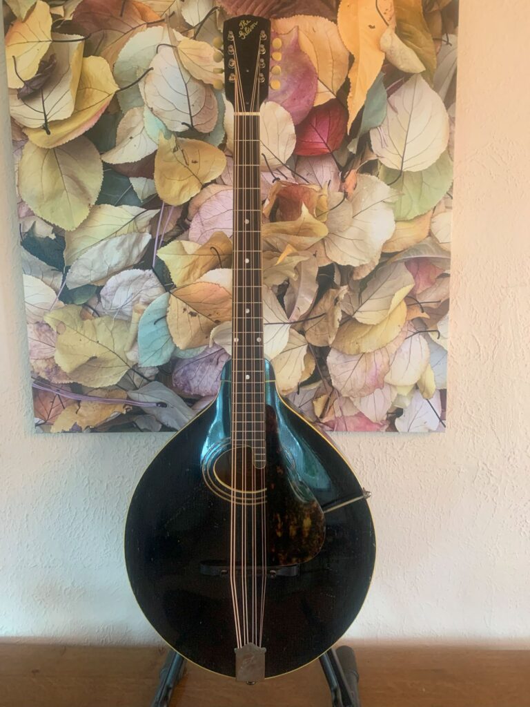 Gibson K1 Mandocello