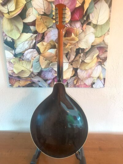 Gibson K1 Mandocello