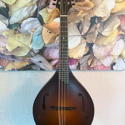 Collings MT Mandola