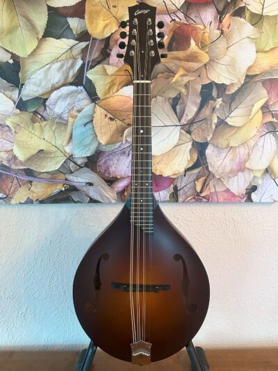 Collings MT Mandola