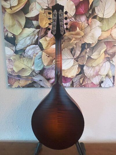 Collings MT Mandola