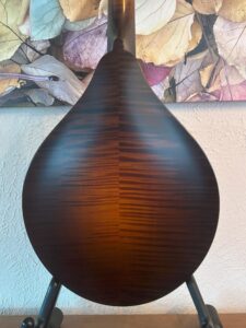 Collings MT Mandola