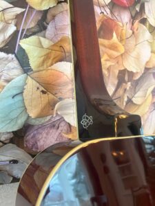 Weber Vigilante Resonator Guitar
