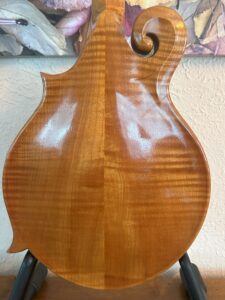 Weber Bitterroot 10 String Mandolin
