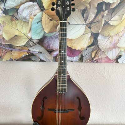 Weber Absaroka Mandolin
