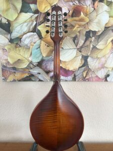Weber Absaroka Mandolin