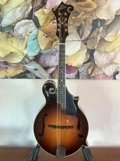 Flatiron F5 Artist Mandolin