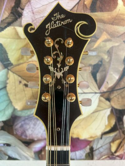Flatiron F5 Artist Mandolin